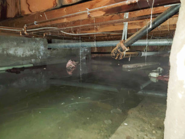 Best Water damage restoration insurance claims  in Menomonee Falls, WI