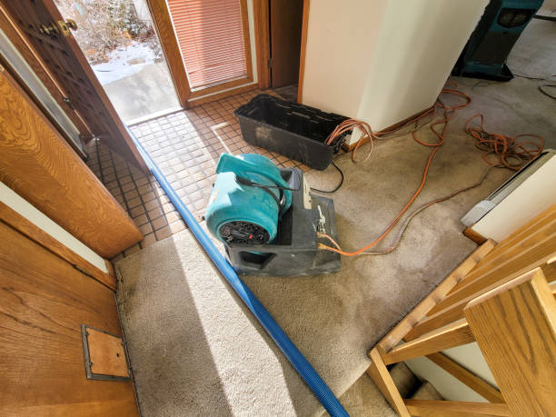 Best Basement water damage restoration  in Menomonee Falls, WI