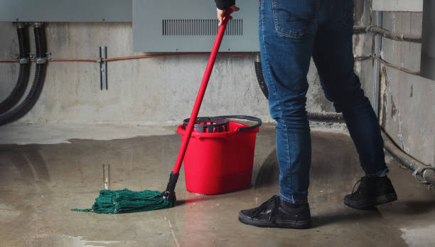 Best Local water damage restoration  in Menomonee Falls, WI