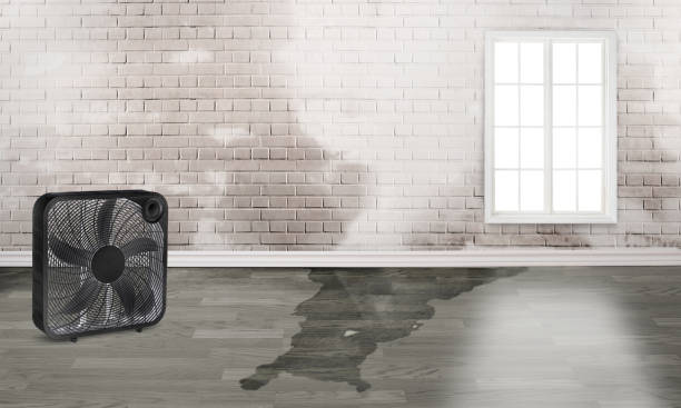 Best Water damage restoration services  in Menomonee Falls, WI