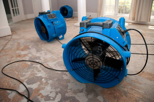 Best Water damage restoration cost  in Menomonee Falls, WI