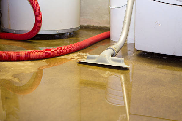 Best Sewage cleanup and water damage restoration  in Menomonee Falls, WI