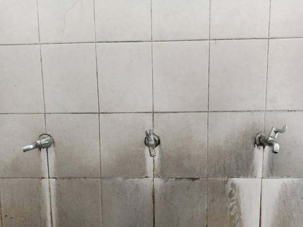 Best Mold removal after water damage  in Menomonee Falls, WI