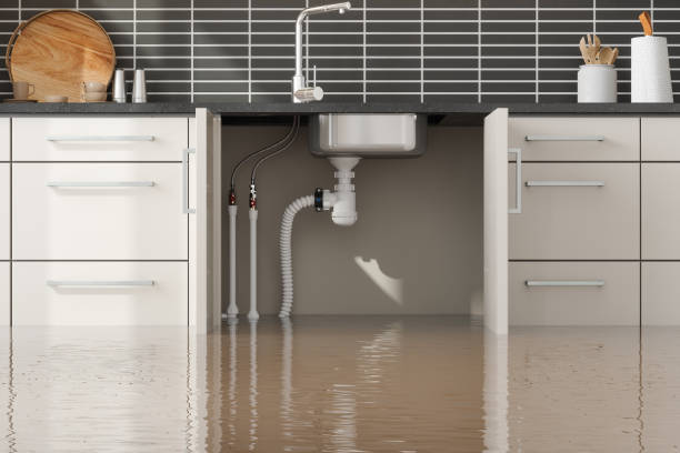 Best Residential water damage restoration  in Menomonee Falls, WI