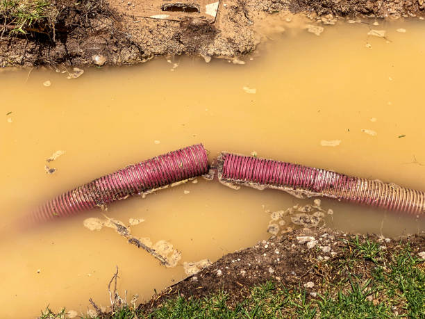 Best Carpet water damage restoration  in Menomonee Falls, WI